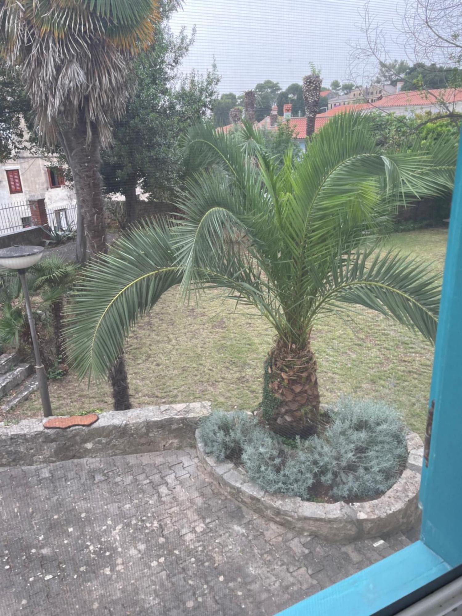 Bigblue House Apartman Veli Lošinj Kültér fotó