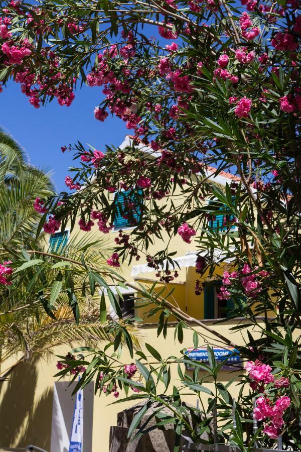 Bigblue House Apartman Veli Lošinj Kültér fotó